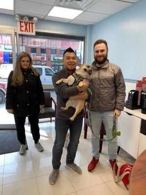 Dr. Joey Tsang welcoming our first Frenchie to Astoria!