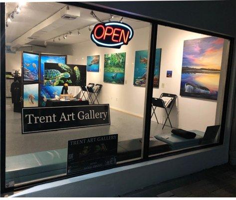 trent art gallery / cape life store