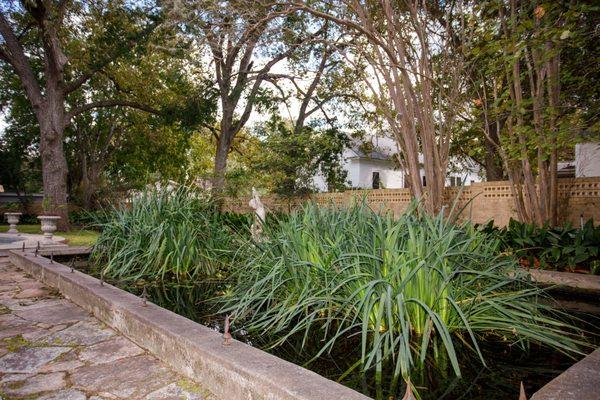 Viewing Pond 2