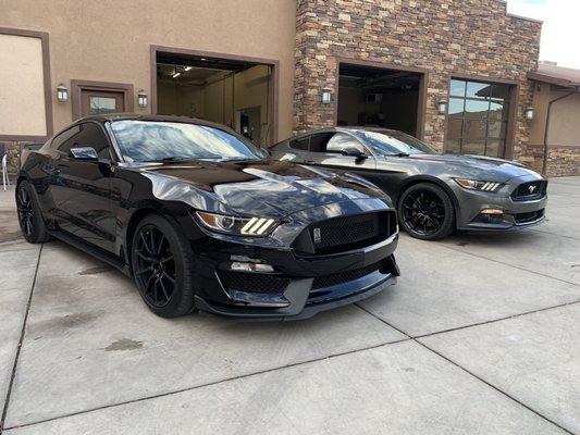 2 good looking Mustangs getting hand washed and engine's detailed