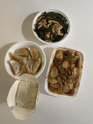 Pan Fried Pork Dumplings 6 pcs, Rice Cake with Pork, Chicken with String Bean (and rice)