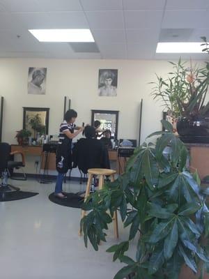 Lady getting a haircut