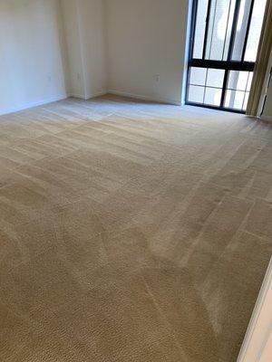 Freshly cleaned carpets dried the same day.  On time, quick, efficient and clean.