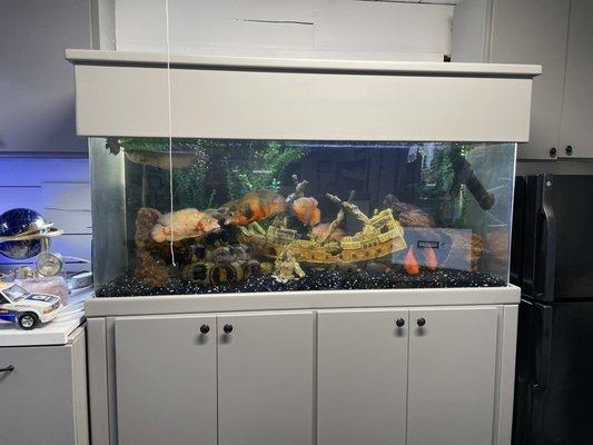 150 gallon Fish tank for the kiddos to enjoy!