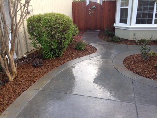 Concrete front yard project