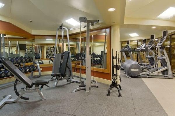 Hilton Fitness Center by Precor