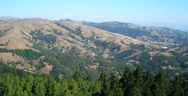 The preserve, as seen from White Hill