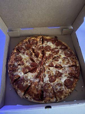 Large 1 topping pizza