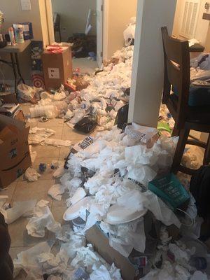 UF student's dorm-one person no roommate