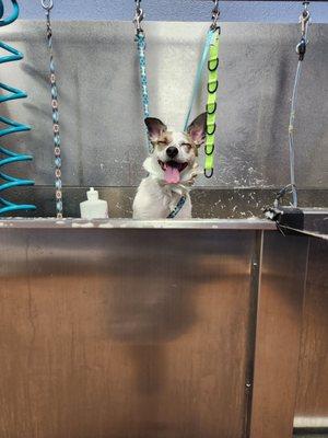 My happy girl getting a blueberry facial!