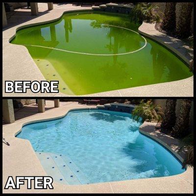 Green to Clean Service starting $250.