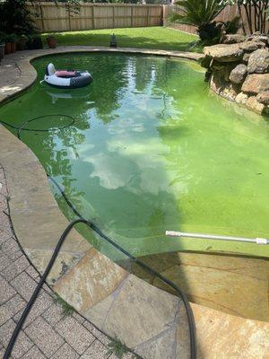 Green Science Pool after maintenance ha ha