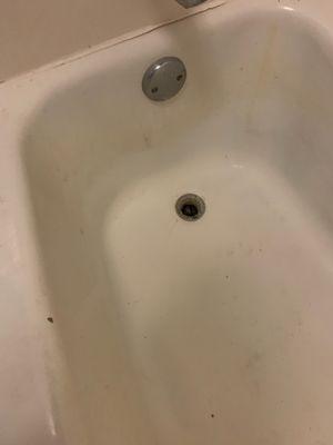 Filthy Bathtub