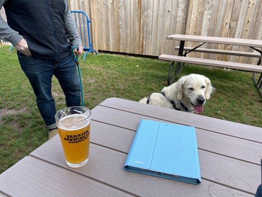 Dogs, beer and outside space