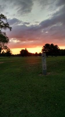 Golf course in the evening