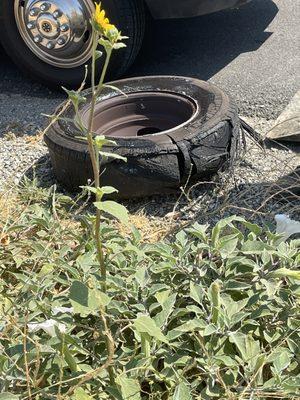 Blown out tire -Billingsley tire saved the day!