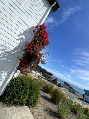 A part of the outside scenery, beneath the restaurant. (the view in the distance)