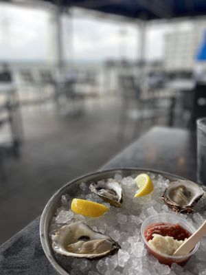 Atlantic Oysters** (Each)