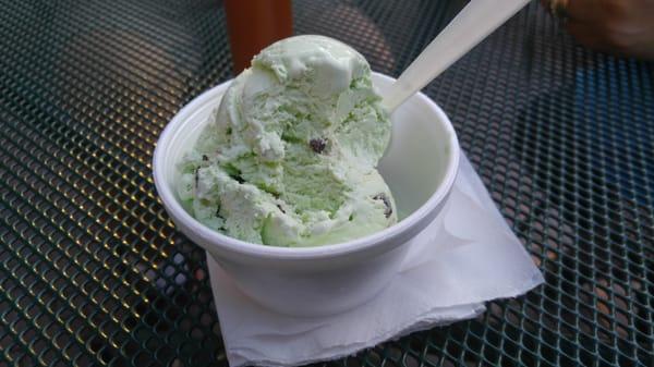 Mint chocolate chip