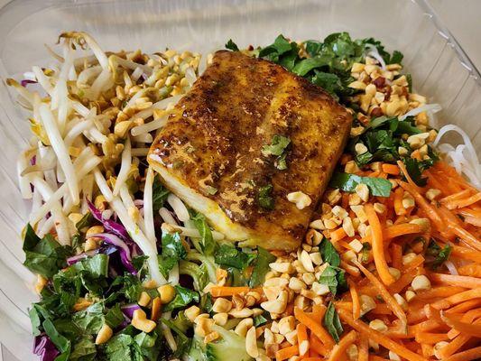 Curry-rubbed Mahi-Mahi with Asian Salad (rice noodles, cucumber, bean spouts, cilantro, carrot, red cabbage)