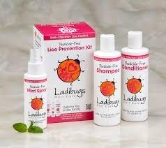 Lice Prevention Products are very important to ensure lice don't make their home in your head!