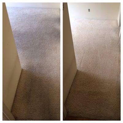 CleanSense Carpet Care