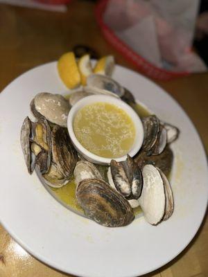 New England steamers