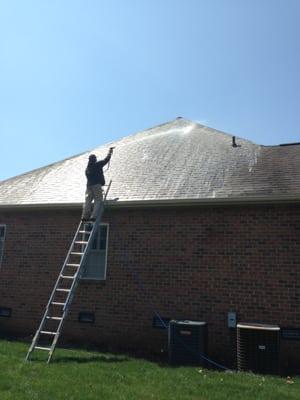 Roof Cleaning