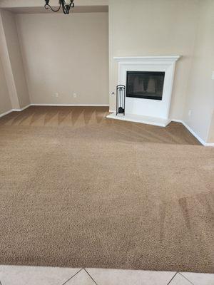 Living room carpet