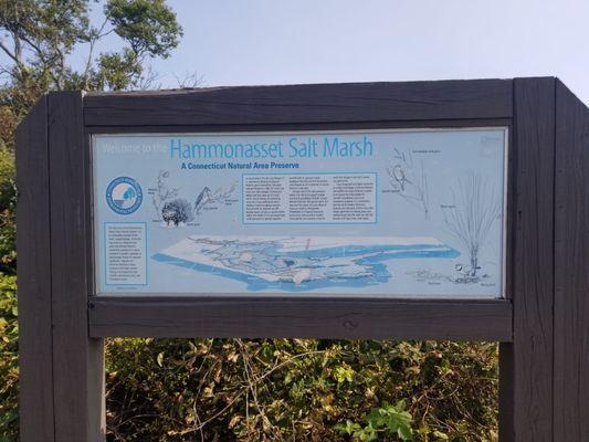 Salt Marsh information on the Moraine trail