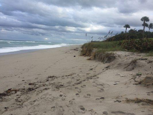 Southern view down the beach