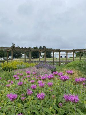 Labyrinth Garden