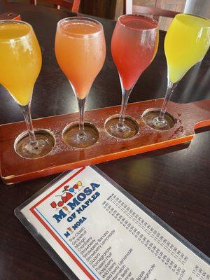 Mimosa flight