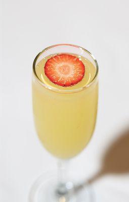 Mimosa