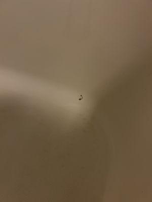 A crack in the tub