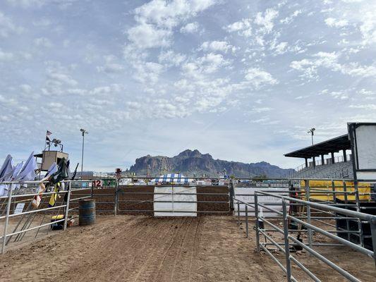 Rodeo from the participants side