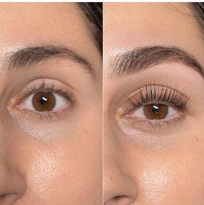 Lash Lift