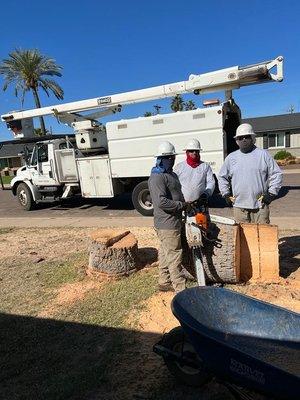 Lion Landscaping Arizona