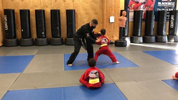 Little Ninja push self defenses