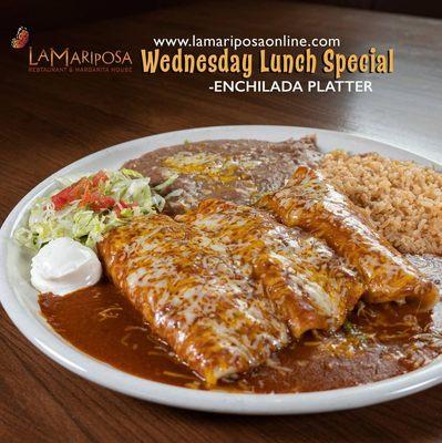 Enchilada platter