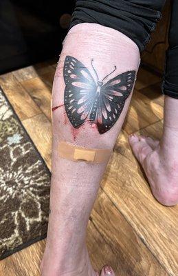 This is just after it's finished less than 2 hours.  Butterfly to start a calf sleeve.