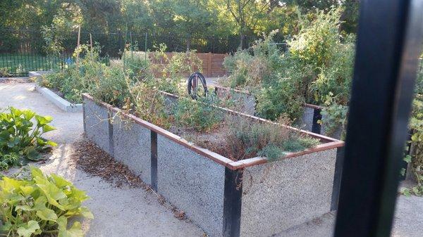 Elmhurst Med Center Community Garden