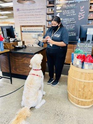 Will sit for treats!