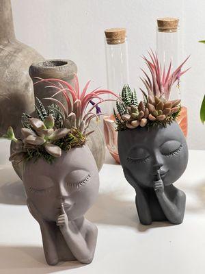 Adorable face planters with succulents