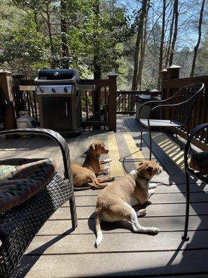 Our dogs loved relaxing on the porch to the sounds of the river.