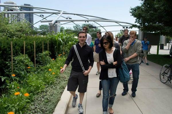 Food growing in Chicago's Millennium Park!