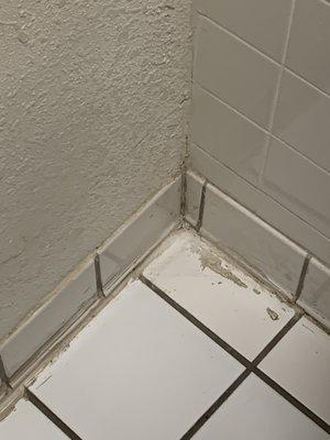 Bathroom floor