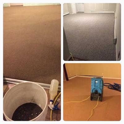 Let DaNa Clean Ups & More, Inc. clean your carpet. We will make sure is spotless. New York City, Brooklyn, Queens, Staten Isl...