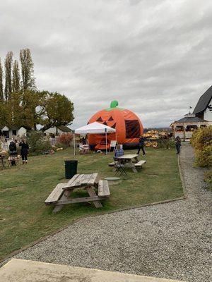 Inflatable pumpkin!