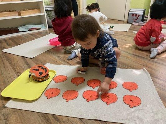 A two year old counting and matching small pumpkin objects to the numerals on the pumpkin cards.